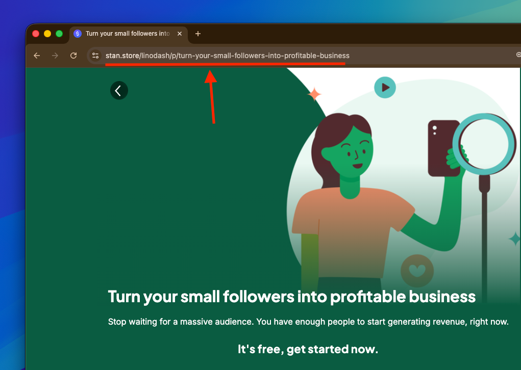 stan store branding in a page link